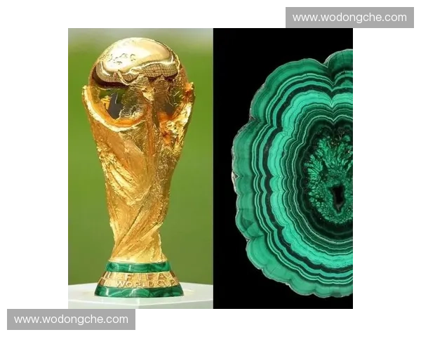 从历史角度解析世界杯冠军背后的传奇与荣耀故事 从历史角度解析世界杯冠军背后的传奇与荣耀故事